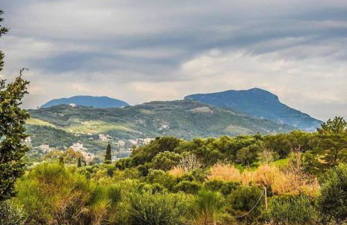 The lodge guest house - Foto 31