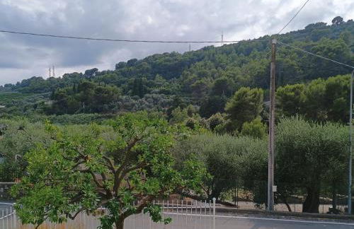 Casa dell'arancio - Foto 13