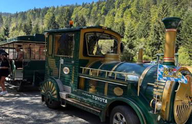 SKI ChaletStyle Designer Ferienwohnung Arber Terrasse Pool Garten Bayrischer Wald Lodges mit Hund - Foto 57