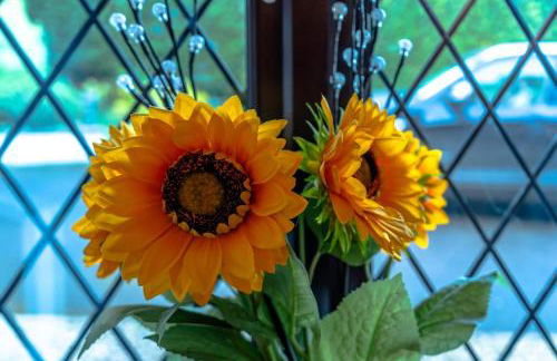 Cosy pet friendly house with garden and parking - Foto 29