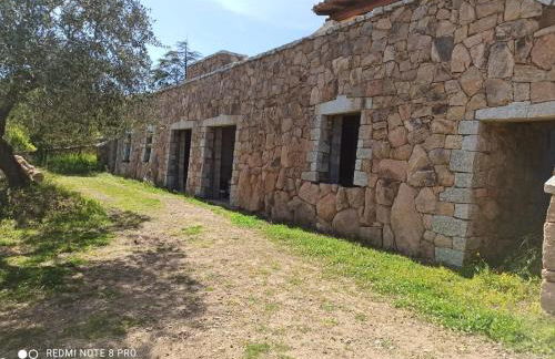 Appartamento immerso nel verde - Foto 29