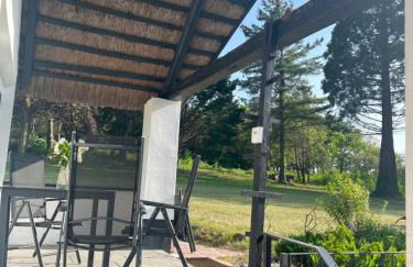 Reethus Rotbuche - Foto 9