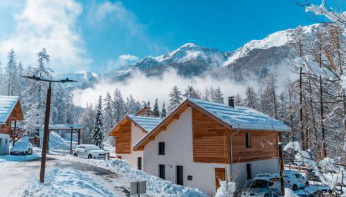 Ski et Détente Les Orres 1650 Animaux OK - Foto 1