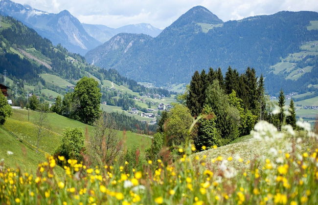 Apartment in Fugen Near Spieljoch Ski Lift - Foto 28