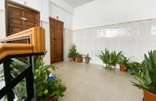 Comeback Torrenueva Costa - Foto 12