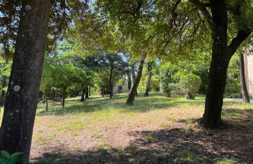 Studio des Anges #2 - Photo 20