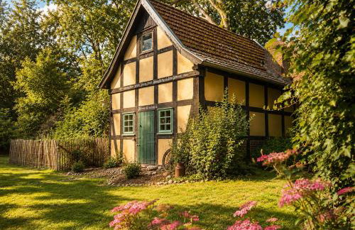 Idyllisches Ferienhaus Nähe Dümmer See Auszeit Sauna Natur - Foto 23