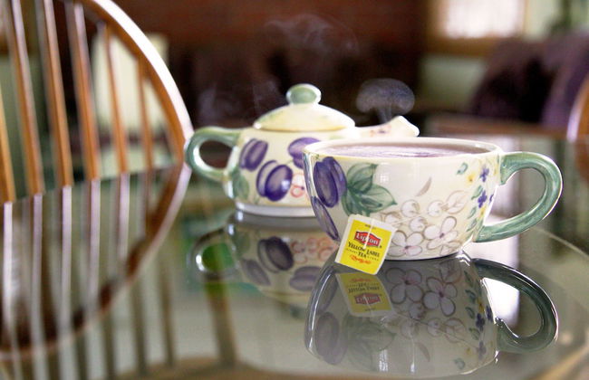 Millsborough Guest Apartments - Foto 11