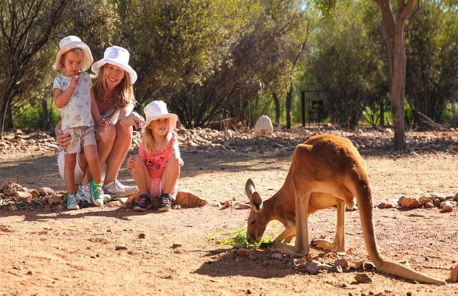 Tour "A Town like Alice" y Alice Springs Desert Park de día completo - Foto 10