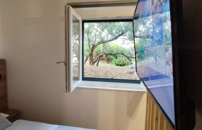 Martina - Large and Comfortable Apartments - SA2 - Photo 6