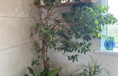 Peaceful Family Retreat Near Gloucester Road - Foto 26