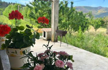 Casa Vicente - Foto 71