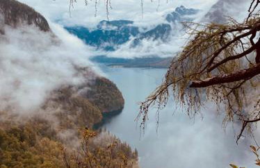 Fewo Wald & Wiese - Photo 7