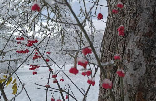 Hofgut Bentele - Foto 7