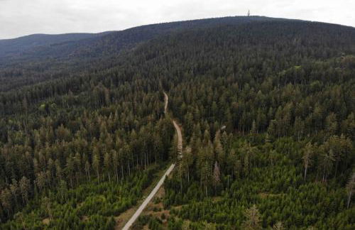 Panoramaapartment am Ochsenkopf - Foto 23