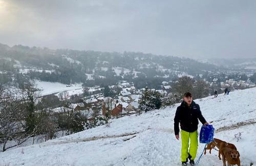 Linden Retreat - Foto 26