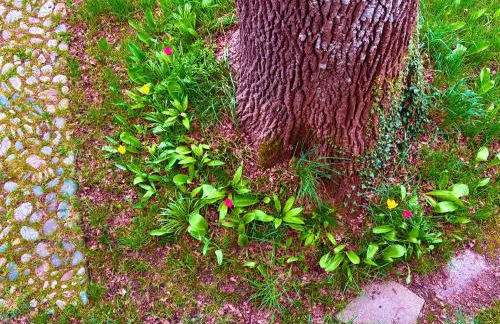 Loft mit Dachterrasse - Foto 20