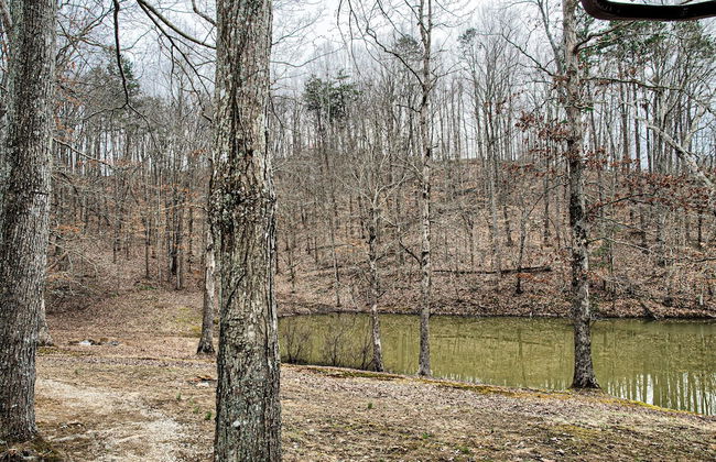 Newly Listed-Private 25-Acre Escape Near Red River Gorge - Foto 66