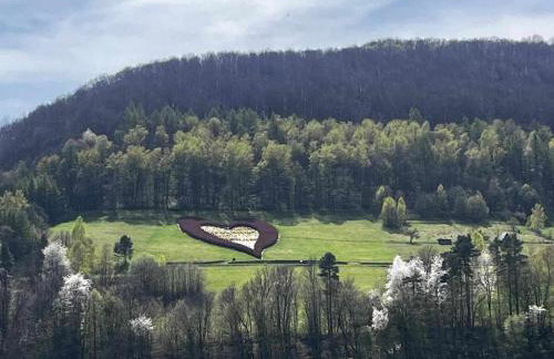 Raj pod lasem - Foto 22