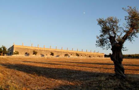 Lama Di Luna Biomasseria - Foto 41