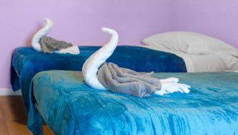 Abano Terme - La Dolce Vita's Villa (comfort & serenity) - Foto 5