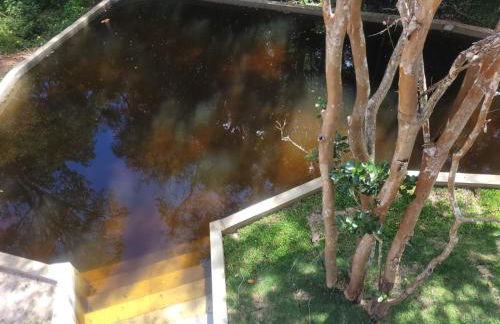 Sítio com Casa de Madeira com 2 quartos 100m2 px Centro de Salesópolis - Foto 61