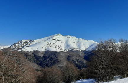 AlaiSuberri - Foto 6