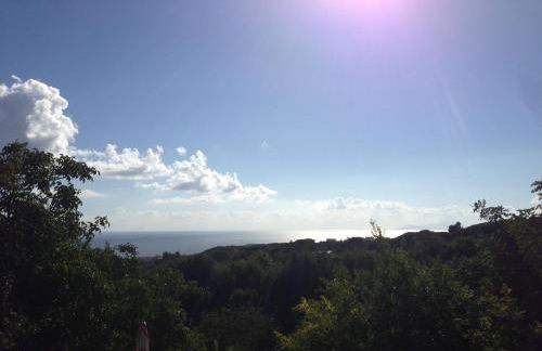 Domus Agricolae Corallina - Foto 43