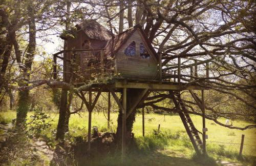 Dihan Evasion - Foto 30