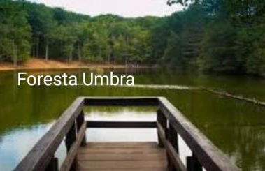 Casa Pizzarelli - Foto 25