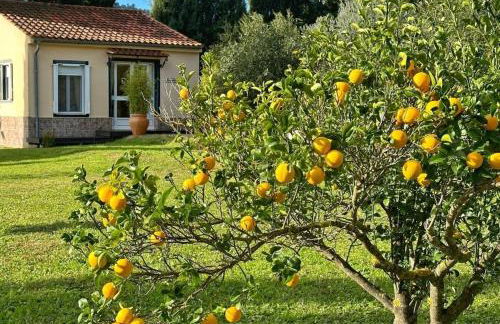 Casita Cacahuete - Foto 1