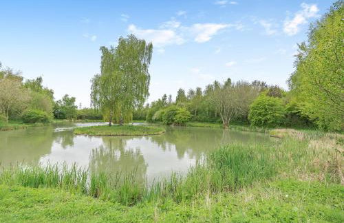 Kingfisher - Uk41034 - Foto 21