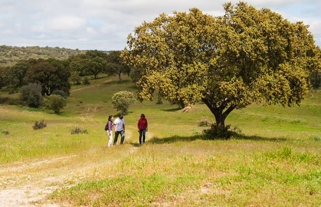Casas de Romaria de Brotas - Foto 25