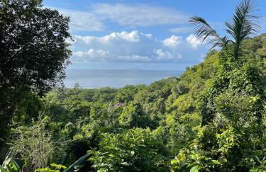 Vista espetacular, no meio da mata, com conforto - Foto 45