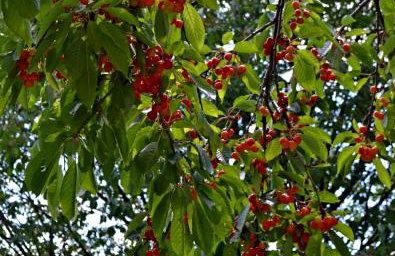 Na końcu świata - Foto 45