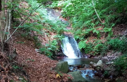 Mas Vilar, relax, nature and slow Exclusive Only 6 rooms - Foto 10