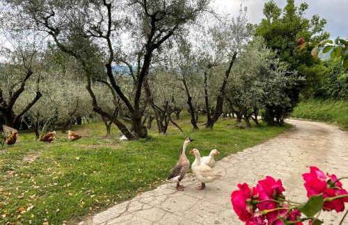 Agriturismo Torre Ercolana - Foto 112