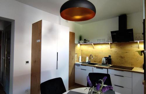 Apartament Szumi Las Kletno - Foto 22