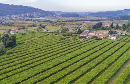 Pazo Torre Penelas - Foto 42