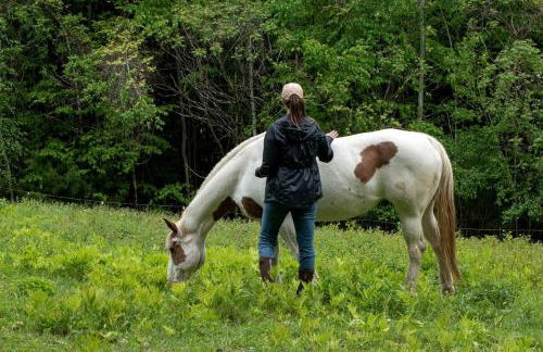 Luxury Yurt Rental Hidden in the Forest near Bristol, Vermont - Foto 25