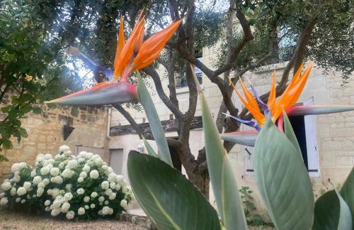 Logis huit clos calme et romantique proche Saumur - Photo 8