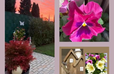 Apartment Glesch - Foto 6