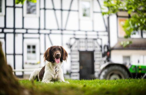 Hof Köhne - Kastanienhaus - Foto 18
