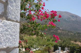 Thelea Mani - Foto 9