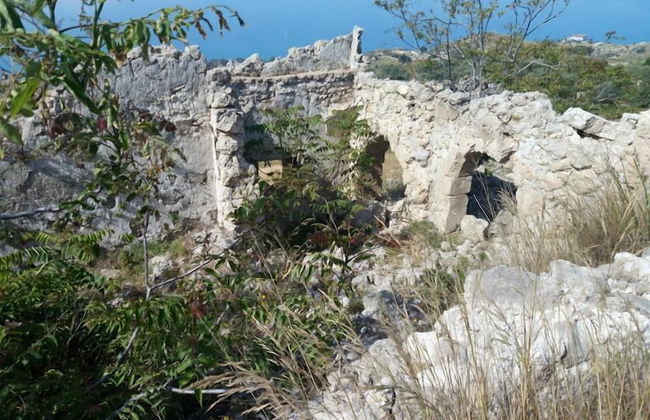 Daphnae House - Foto 41