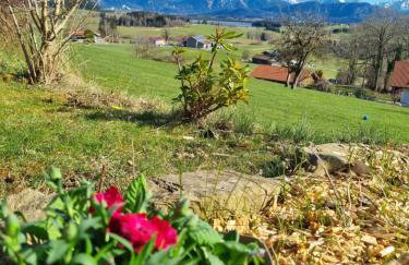 Landhaus Poppler mit Aufzug - Foto 43