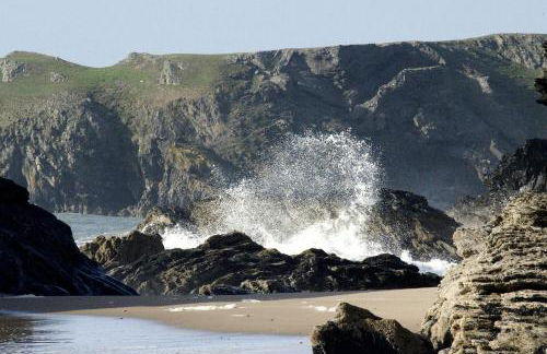 Gervic Cottage Llangrannog - Photo 23