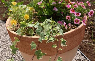 Apartment Oblica-beautiful new, well equipped apartment - Photo 33