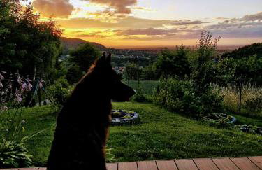 JAWORNICA HOUSE domek z pięknym widokiem - Foto 1