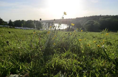 Appartementhof Fastnacht am See - Foto 2